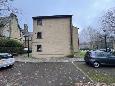 Front view