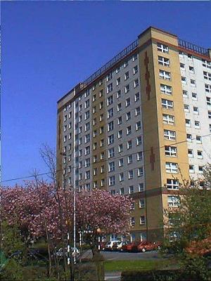 Front view