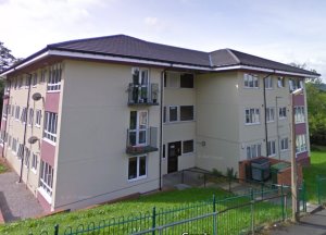 Front view